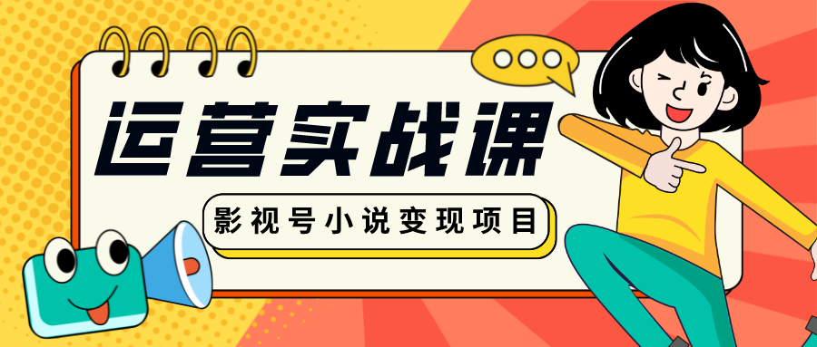 运营实战课：影视号小说变现项目