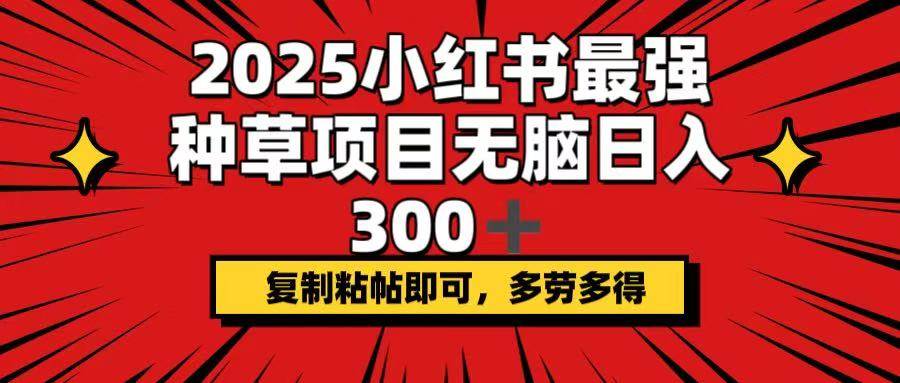 (3.2)2025小红书最强种草项目，无脑日入300+，复制粘帖即可，多劳多得